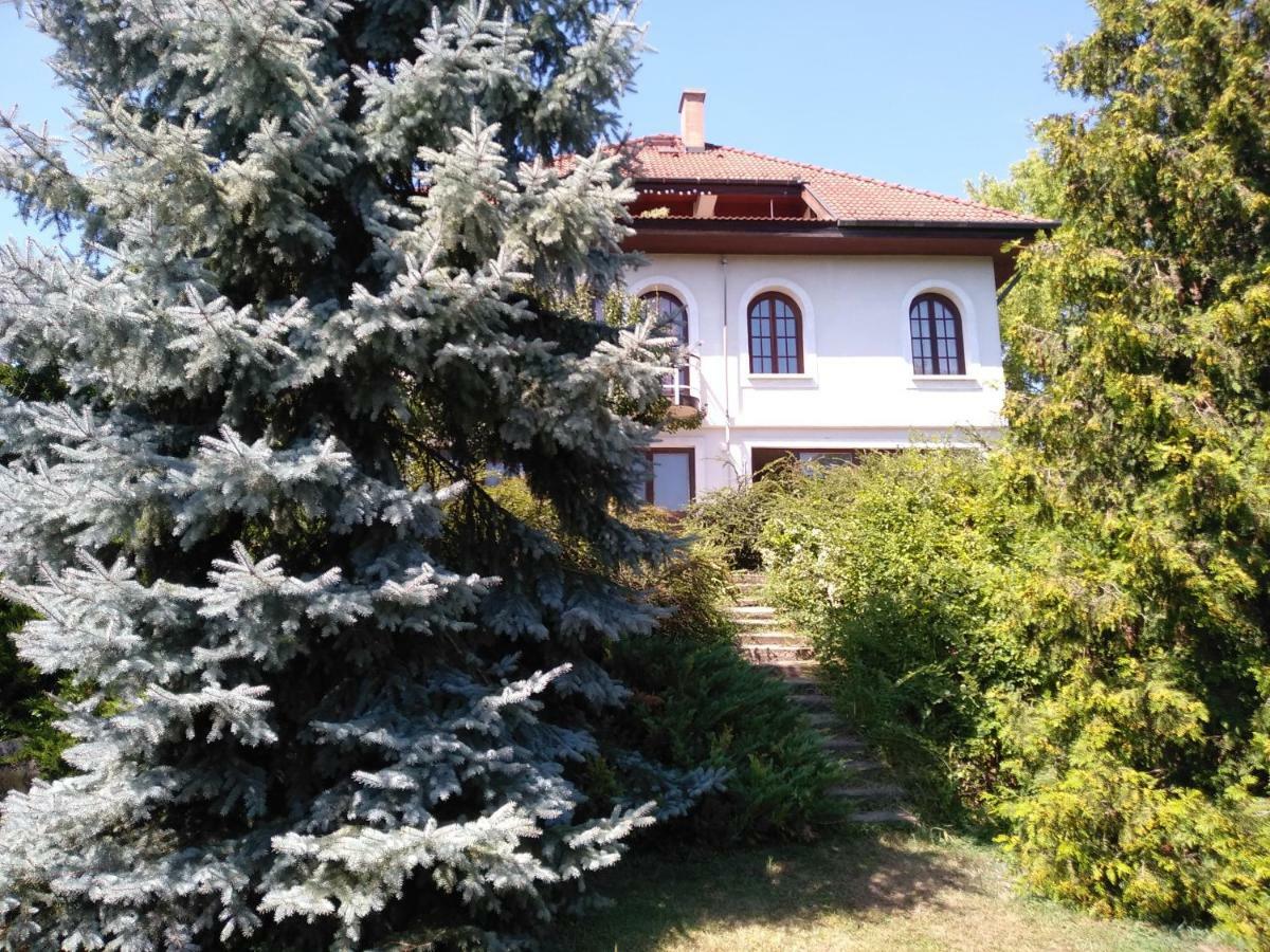 Co-Housing Community Hotel Budakalász Exterior foto